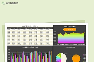 微商代理年中分析报告Excel模板