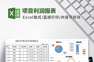 项目利润报表Excel模板