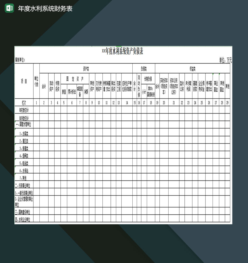 年度水利系统财务详细情况登记表Excel模板