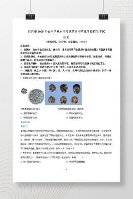 2025年中考四川省宜宾市历史真题+答案解析Word版