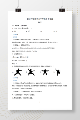 2025年中考湖南省数学真题+答案解析Word版