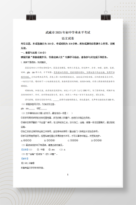 2025年中考甘肃省武威市语文真题+答案解析Word版